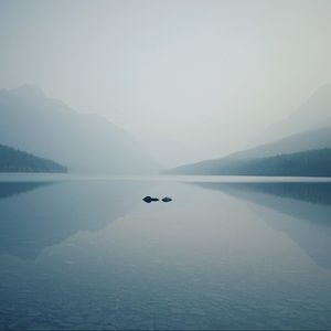 Meet your Posher, Jacque